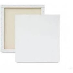 TELA PARA PINTURA 20x20CM