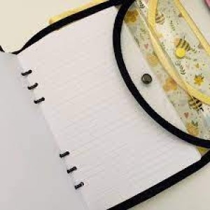 FICHÁRIO A5 GLITTER BUSY BEE BUENDIA